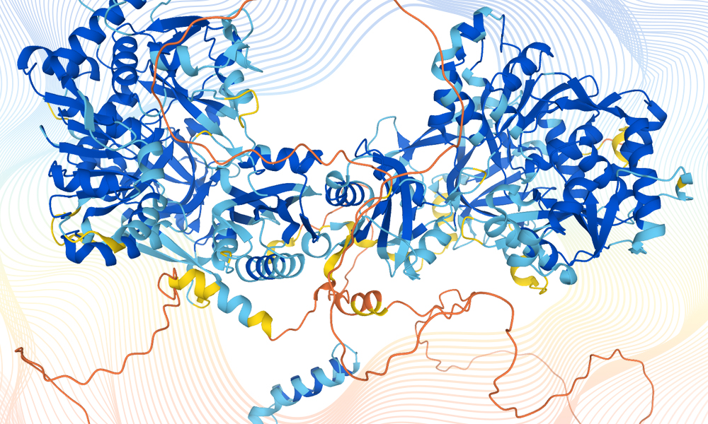 DeepMind and EMBL – database of predicted 3D structures of human proteins
